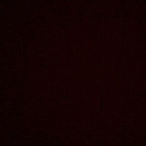 Meet your Posher, Nessa